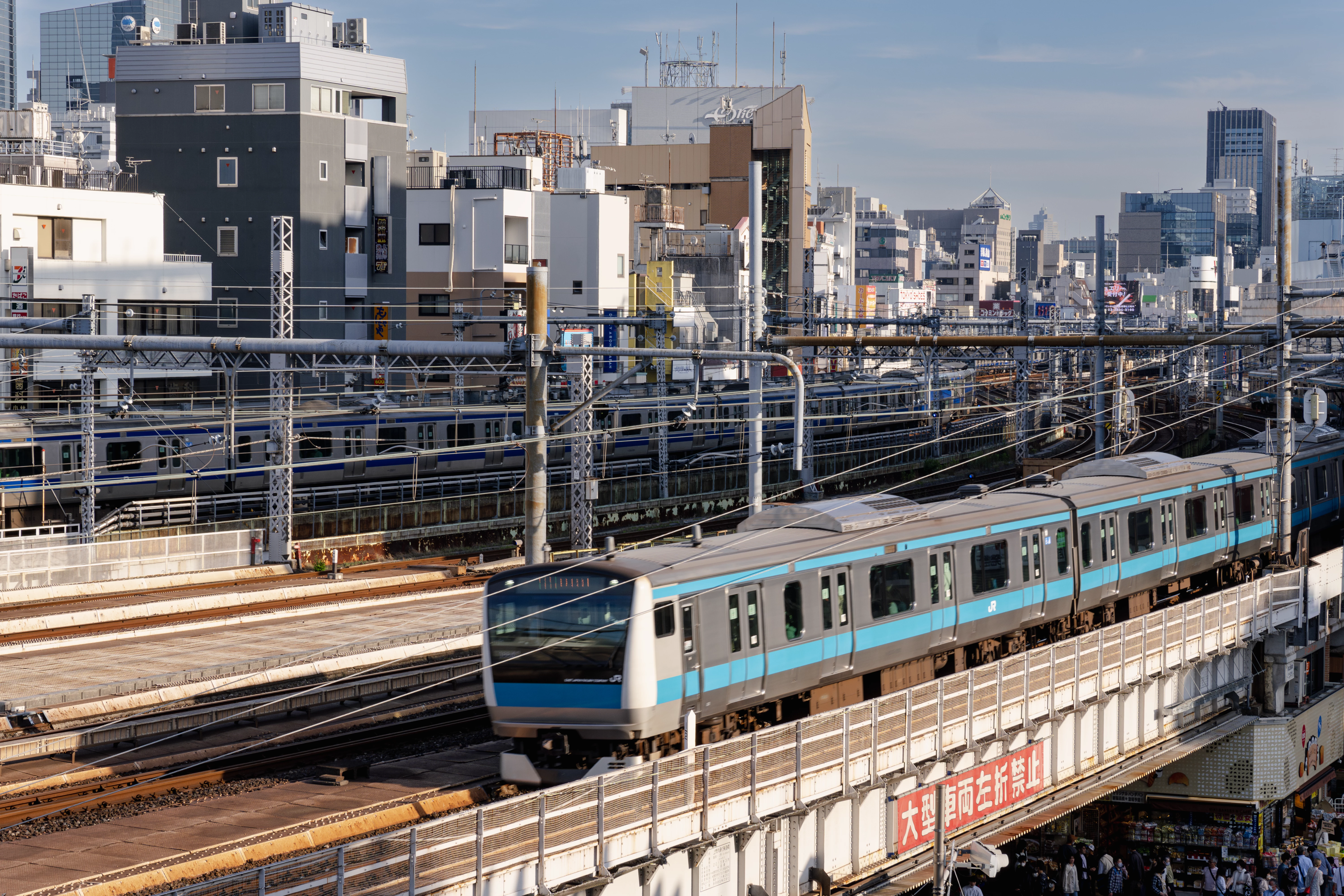 Keihin-Tohoku Line E233-1000 from Ueno Park