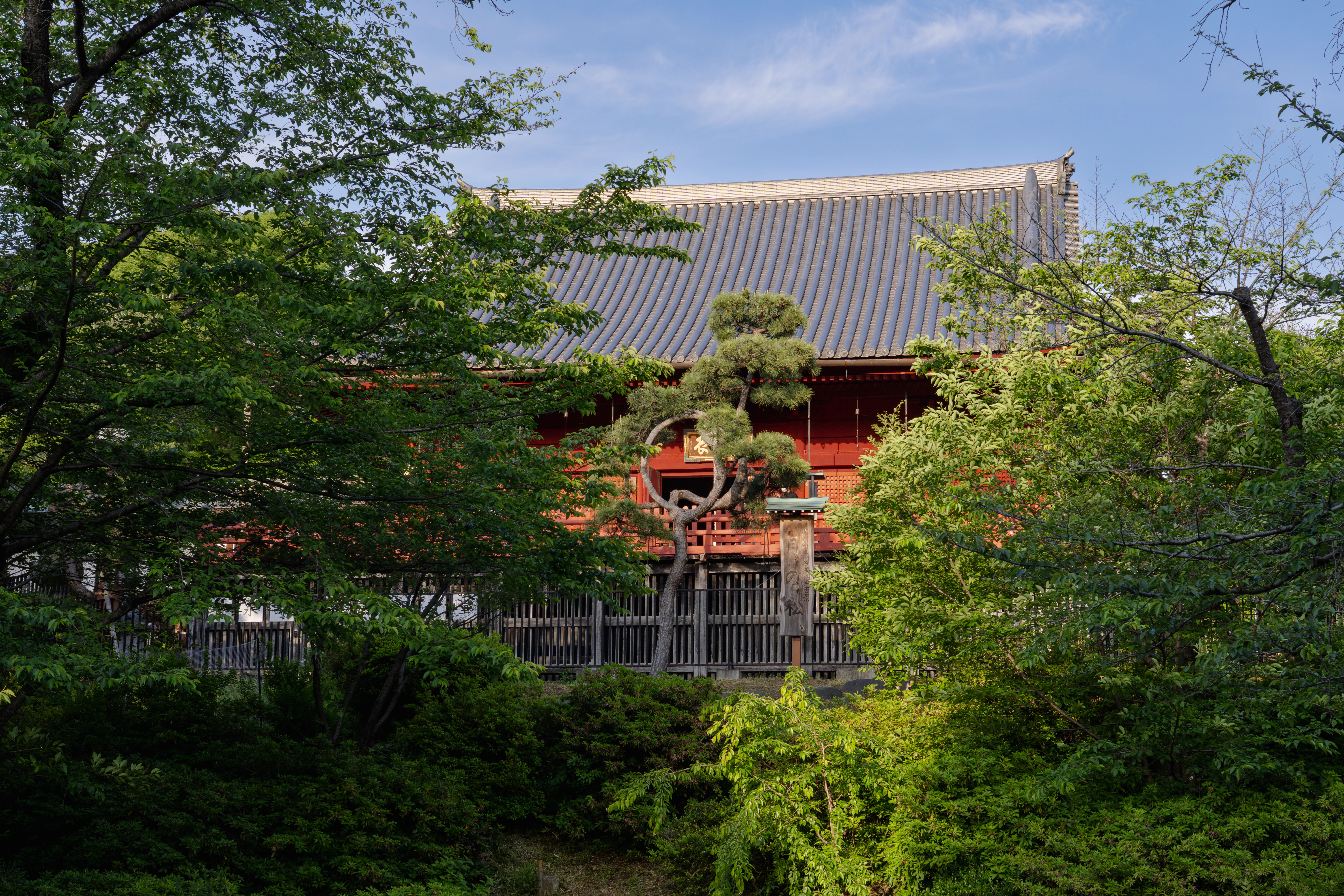 Ueno Park