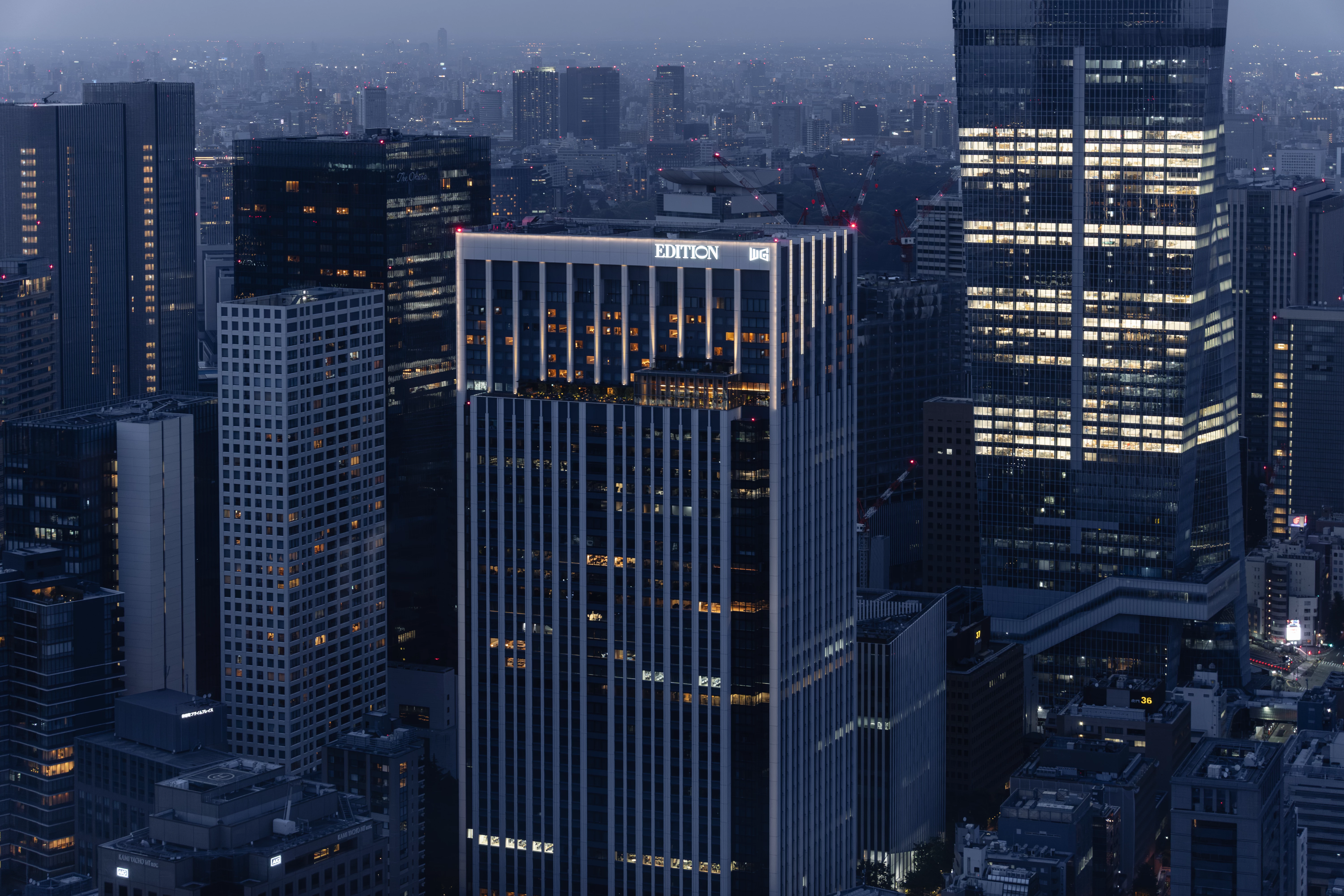 View of Tokyo in Tokyo Tower