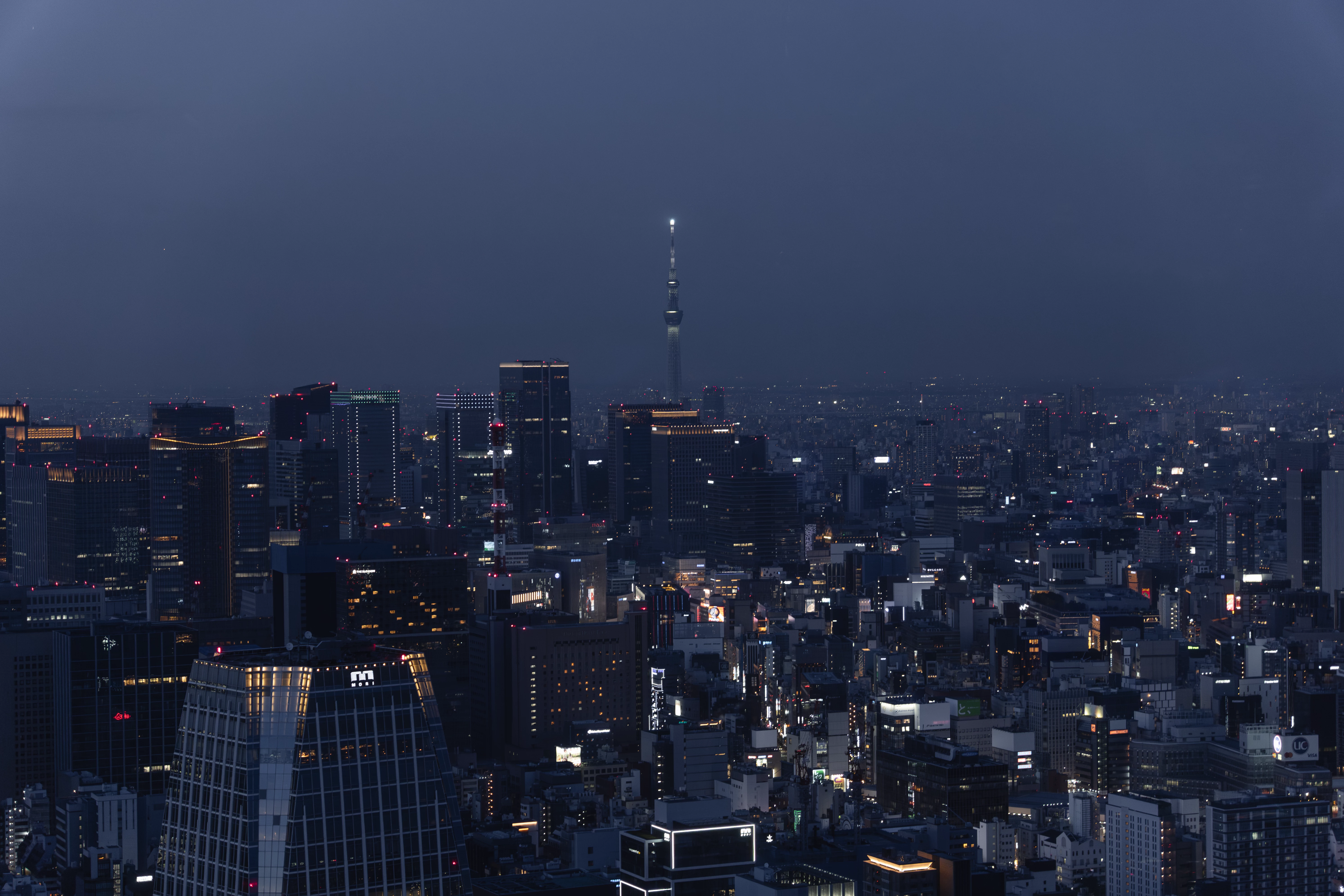 View of Tokyo in Tokyo Tower