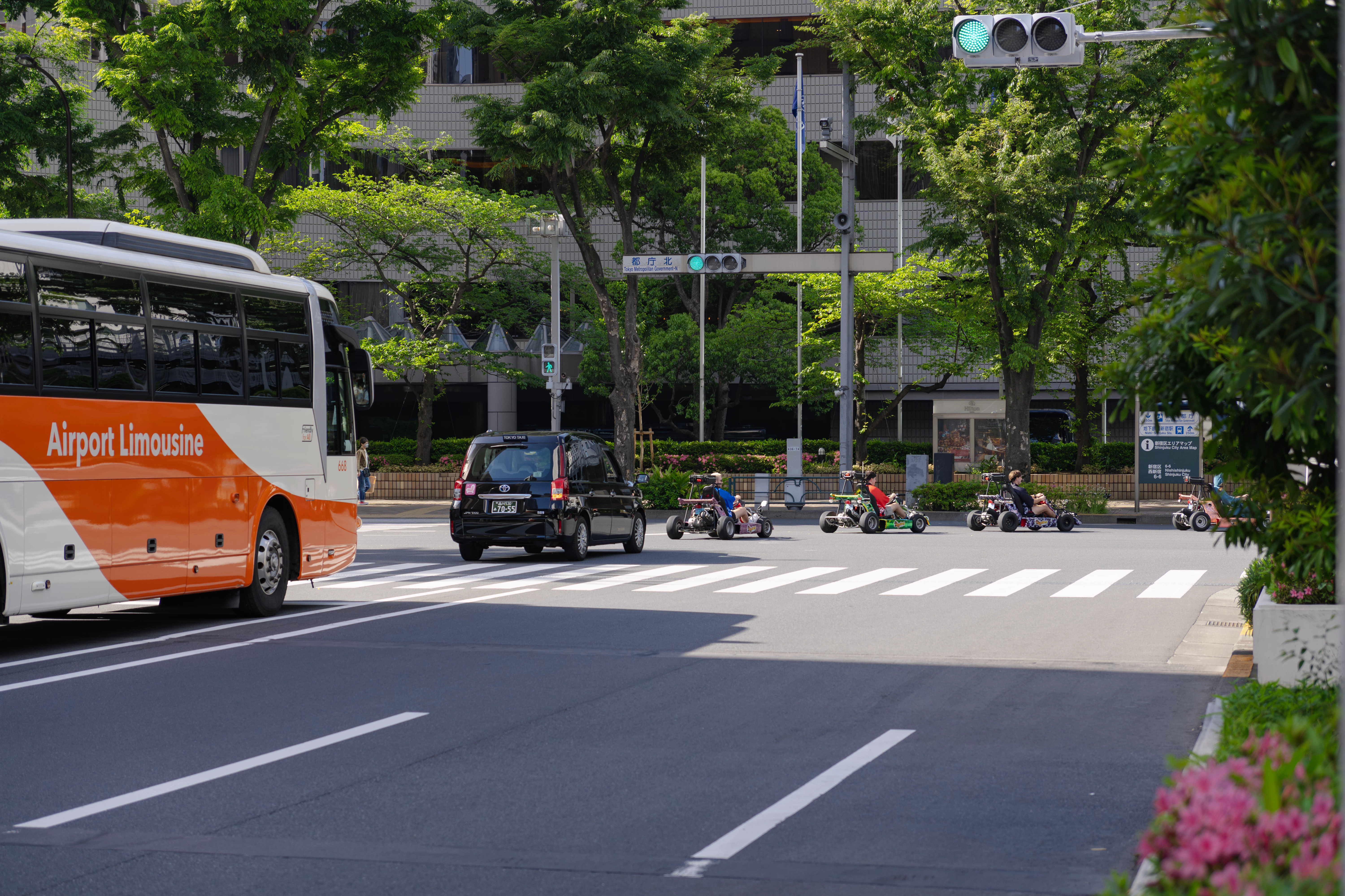 Karts on Tokyo street