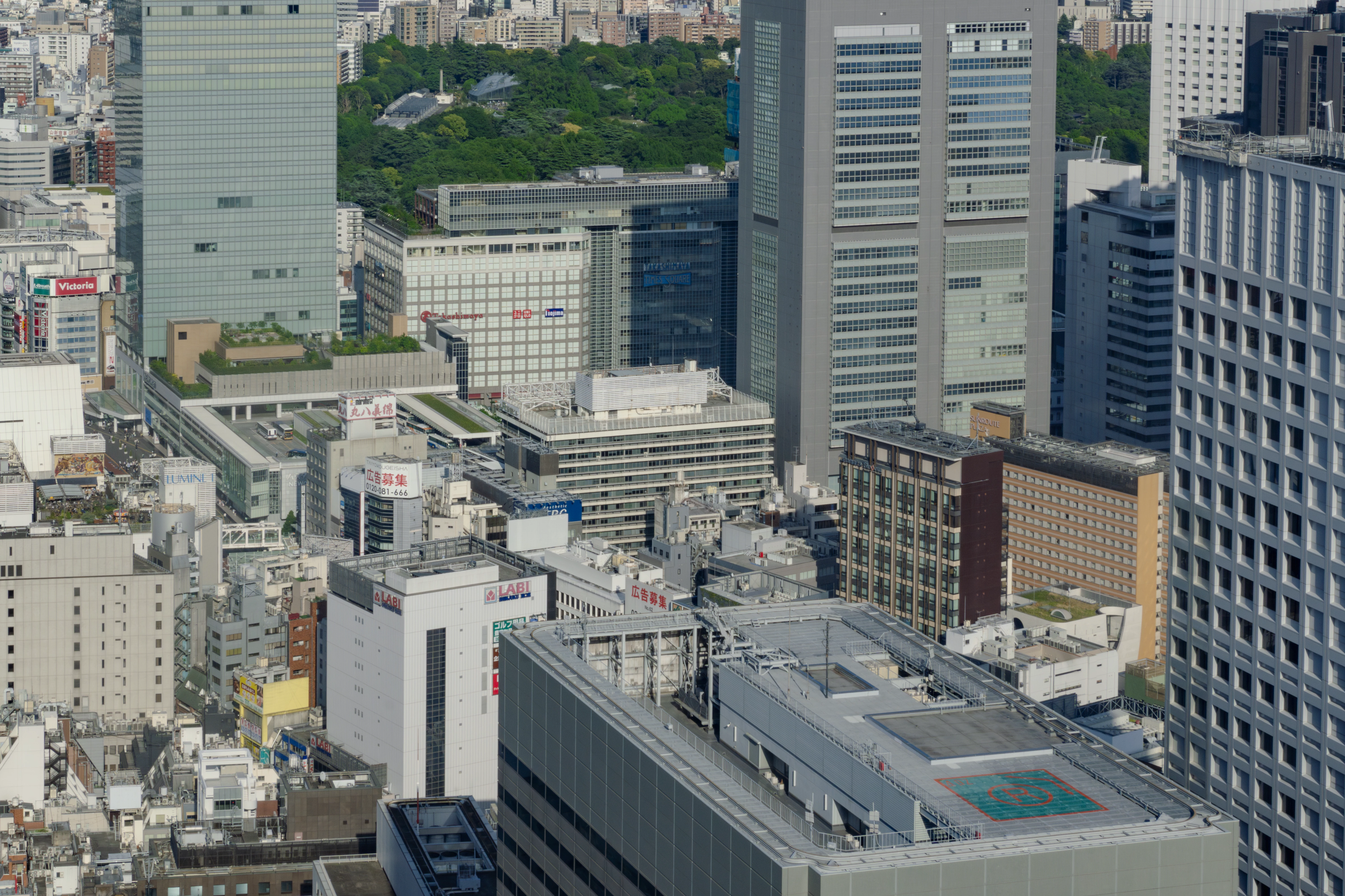 View of Tokyo in Tokyo Metropolitan Government Building