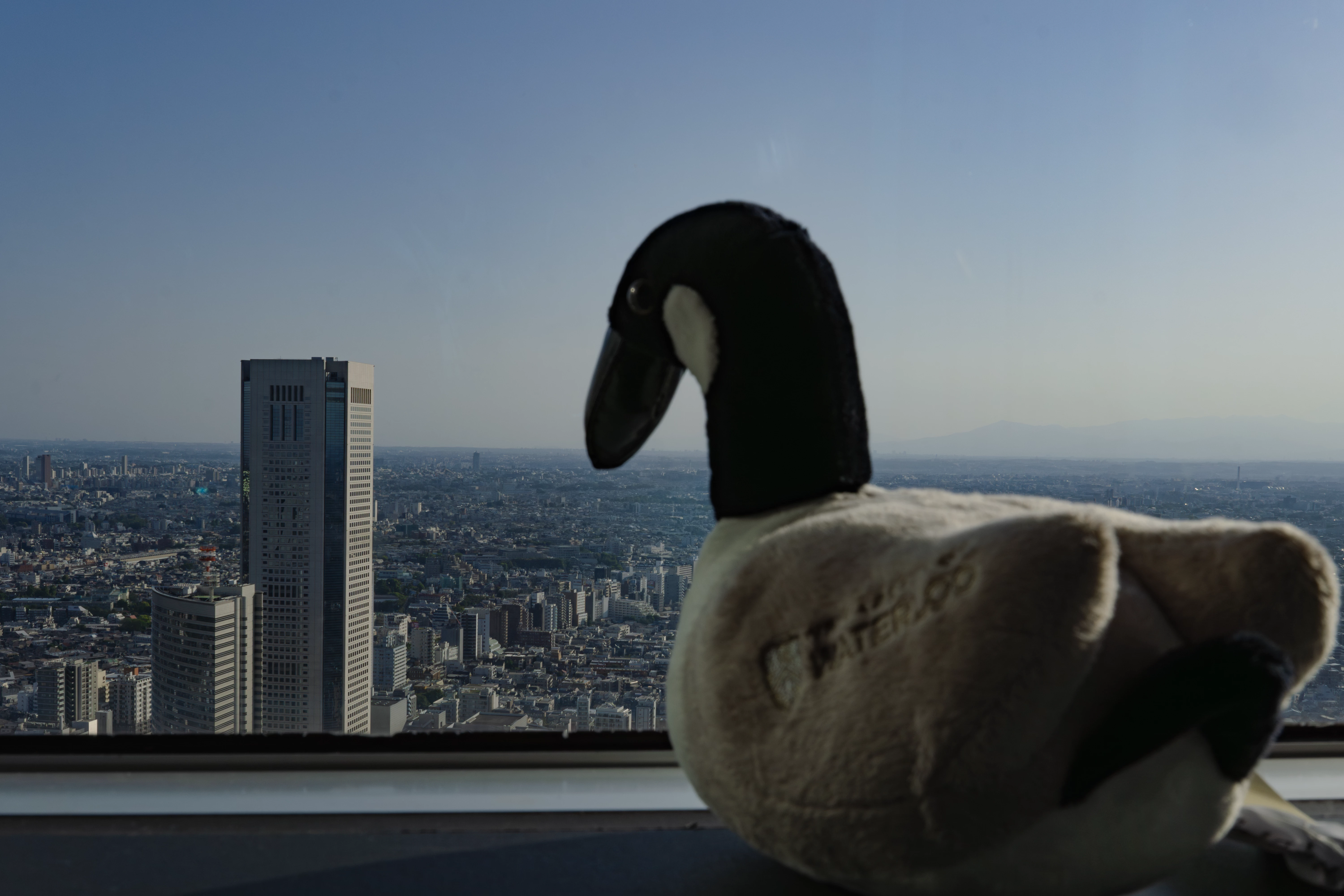 View of Tokyo in Tokyo Metropolitan Government Building