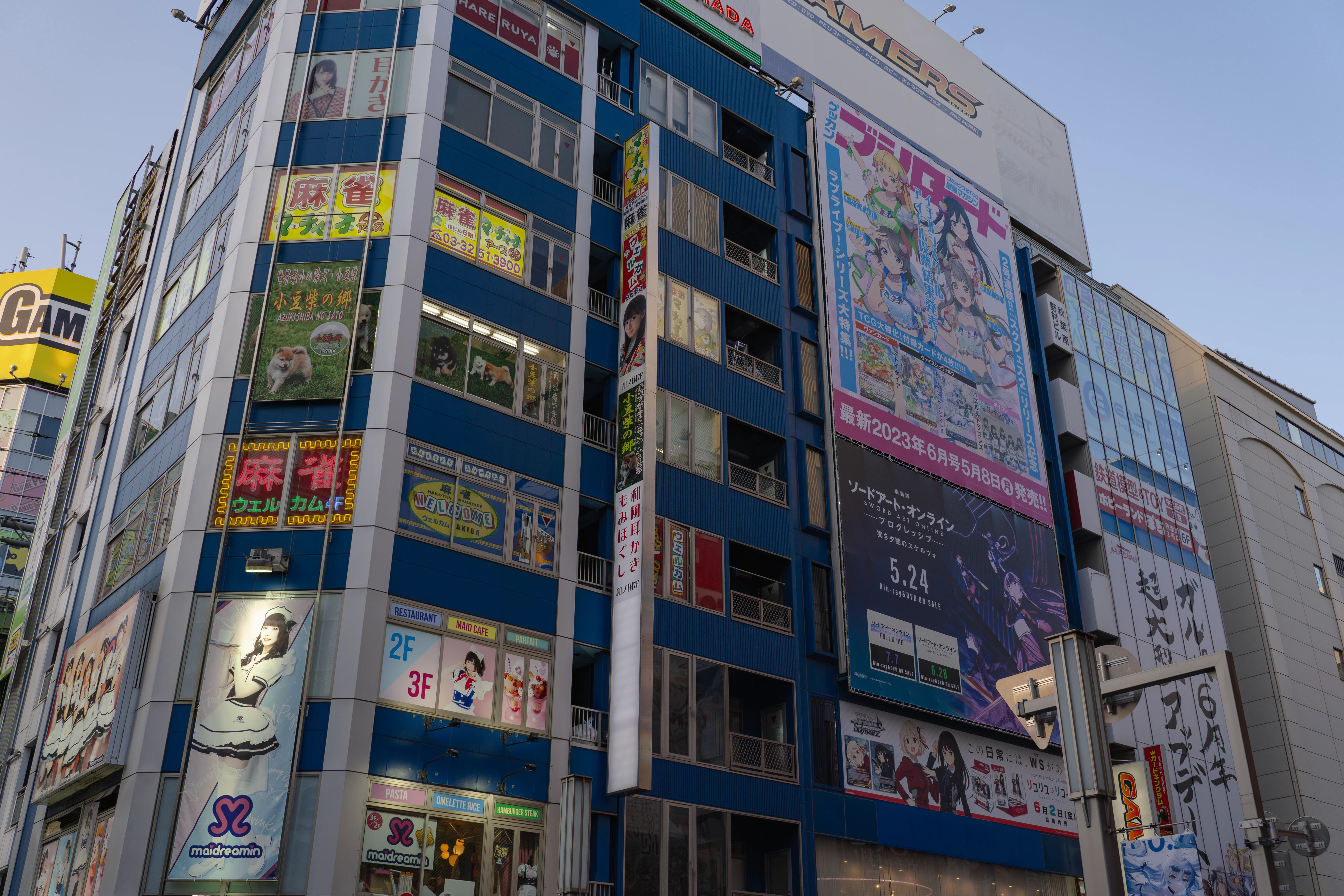 Akihabara street view