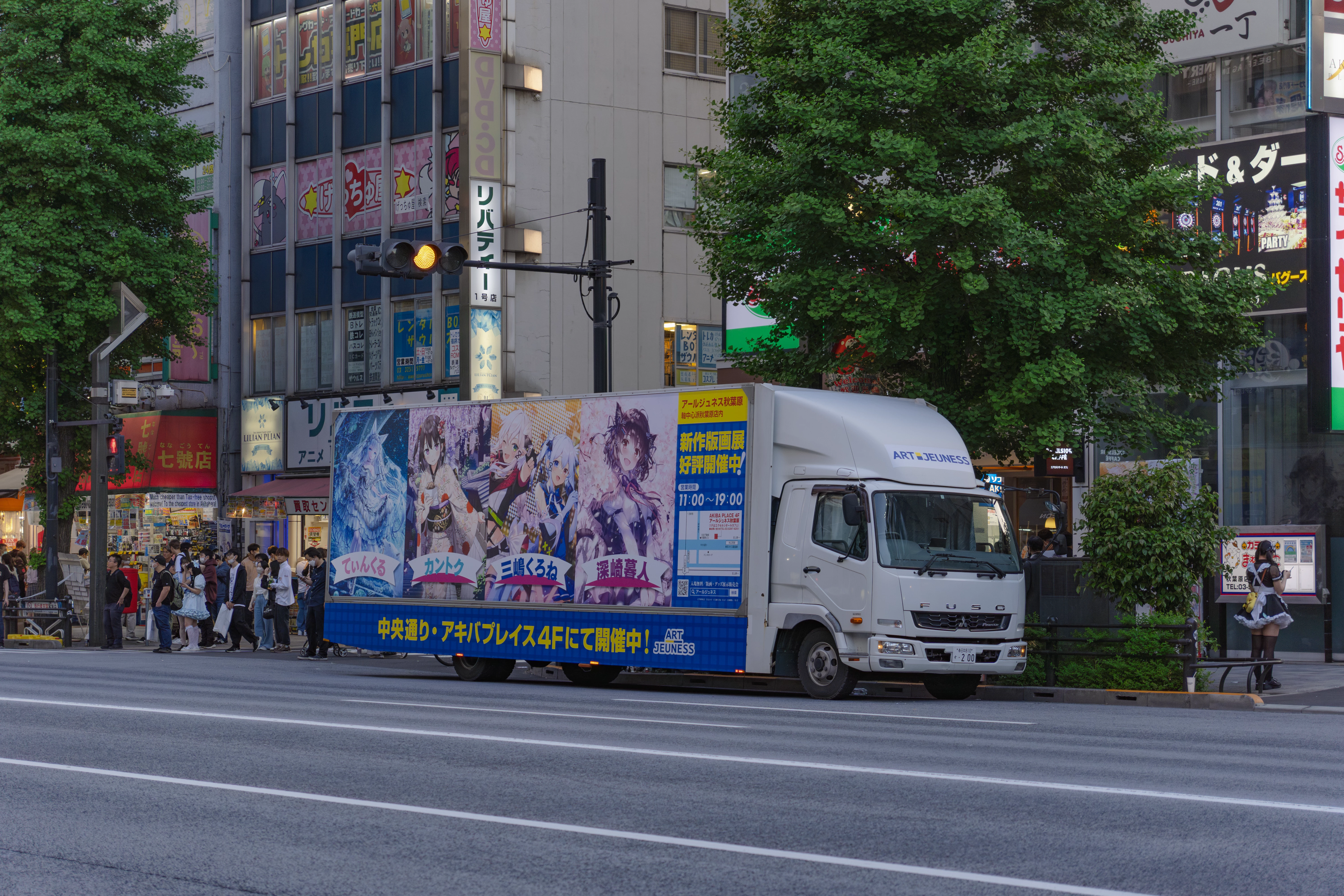 Akihabara street view