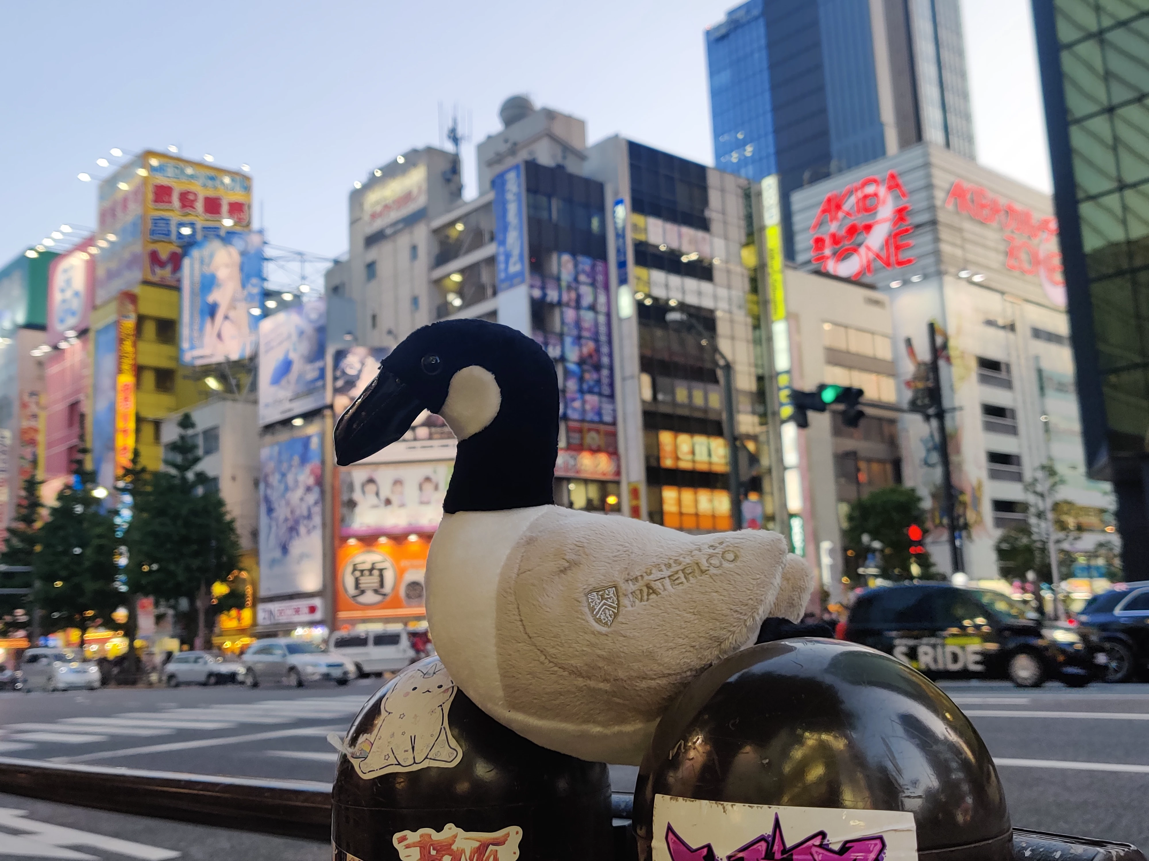 Akihabara street view