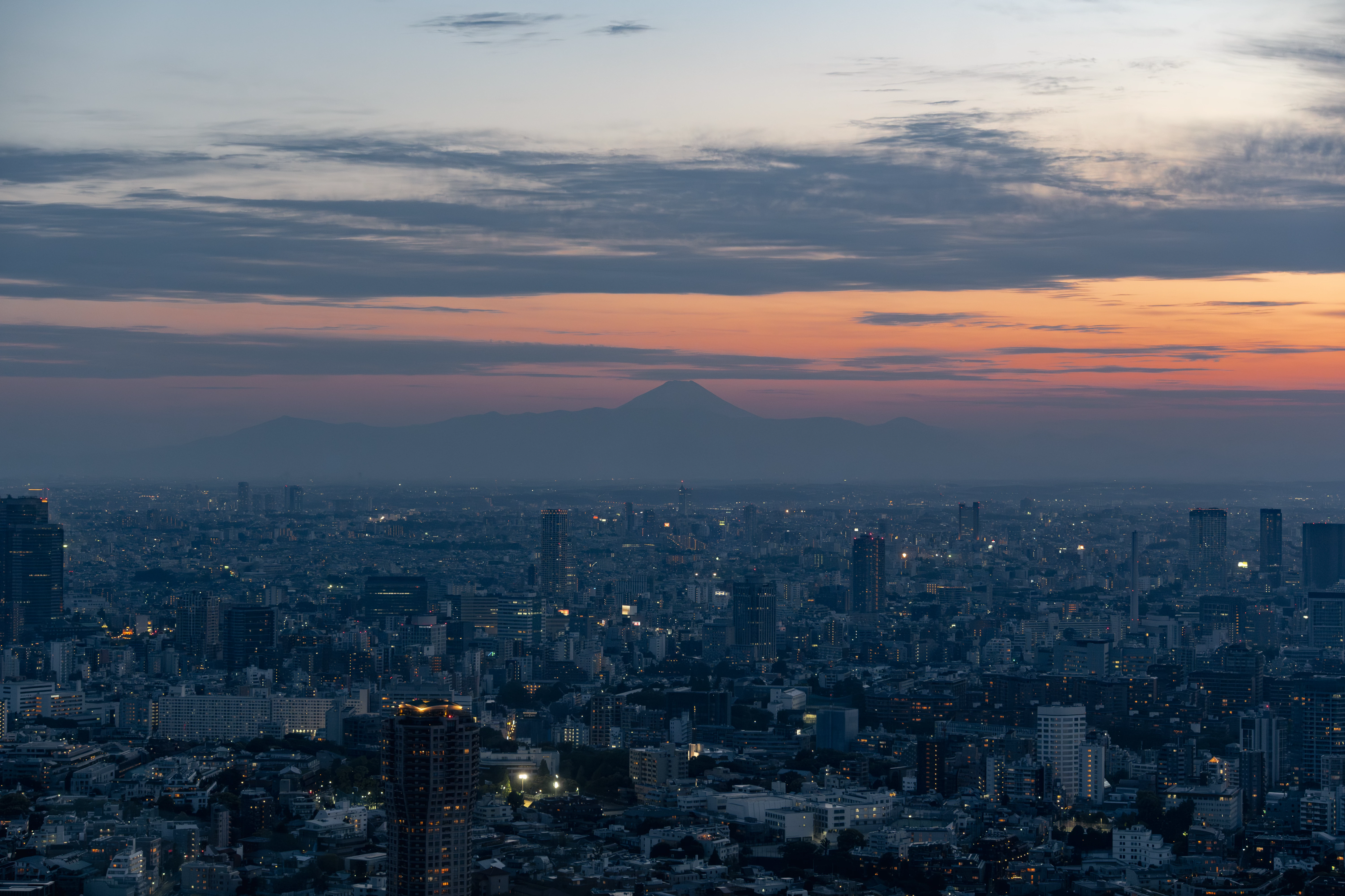 View of Tokyo in Tokyo Tower